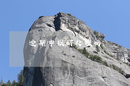 逾期申报好处理吗 逾期申报好处理吗