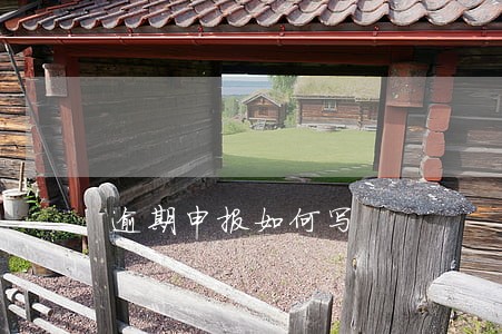 逾期申报如何写 逾期申报如何写