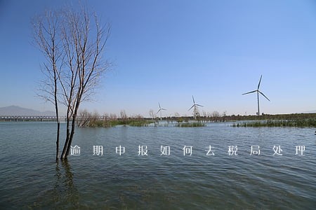 逾期申报如何去税局处理 逾期申报如何去税局处理