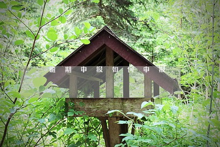 逾期申报如何申报 逾期申报如何申报