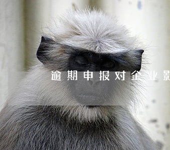 逾期申报对企业影响 逾期申报对企业影响