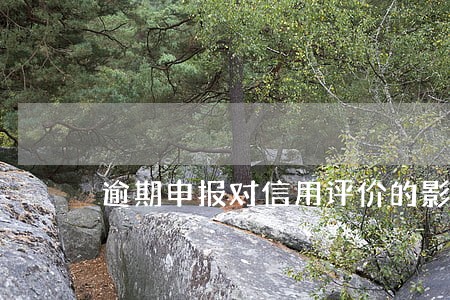 逾期申报对信用评价的影响大吗