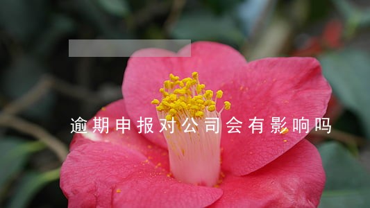 逾期申报对公司会有影响吗 逾期申报对公司会有影响吗