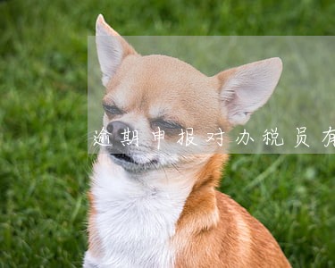逾期申报对办税员有什么影响 逾期申报对办税员有什么影响