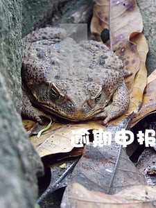 逾期申报对办税员的影响