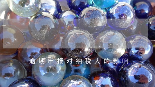 逾期申报对纳税人的影响 逾期申报对纳税人的影响