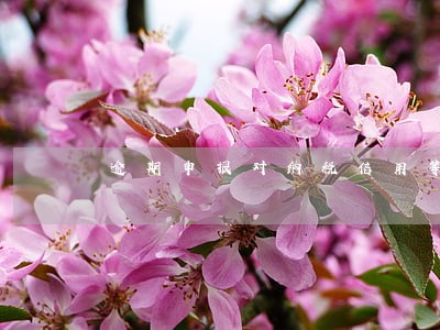 逾期申报对纳税信用等级评