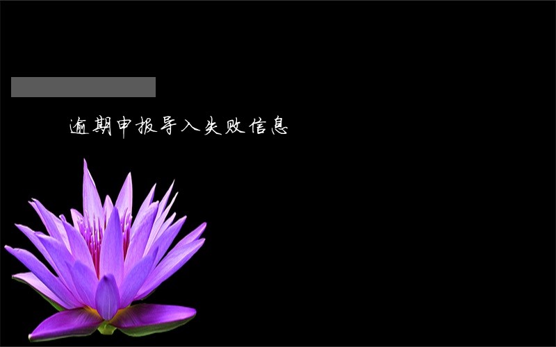 逾期申报导入失败信息 逾期申报导入失败信息