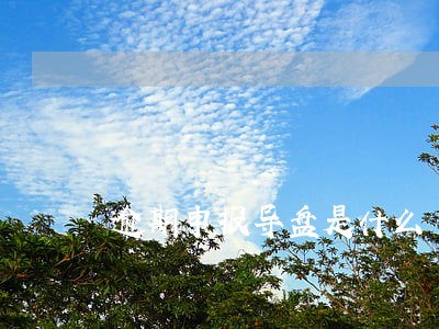逾期申报导盘是什么 逾期申报导盘是什么