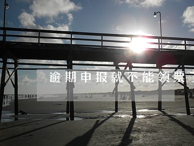 逾期申报就不能领票了吗 逾期申报就不能领票了吗