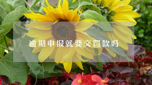 逾期申报就要交罚款吗 逾期申报就要交罚款吗