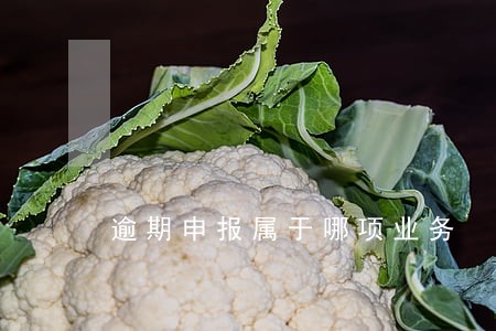 逾期申报属于哪项业务 逾期申报属于哪项业务