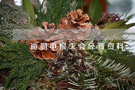 逾期申报工会经费资料 逾期申报工会经费资料