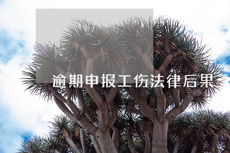逾期申报工伤法律后果 逾期申报工伤法律后果