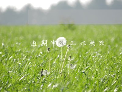 逾期申报工作整改 逾期申报工作整改