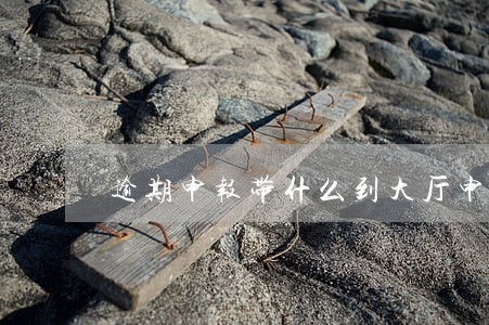 逾期申报带什么到大厅申报 逾期申报带什么到大厅申报