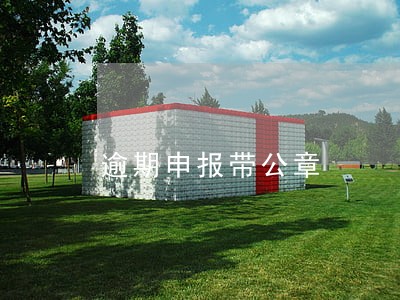 逾期申报带公章 逾期申报带公章