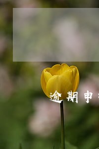 逾期申报平台
