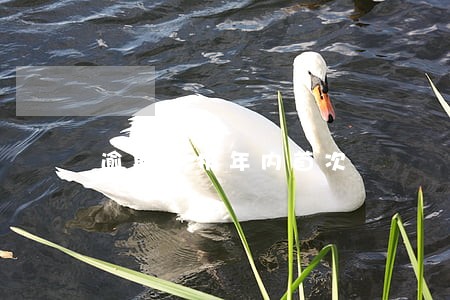 逾期申报年内首次 逾期申报年内首次
