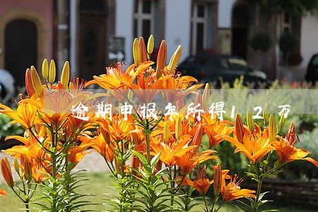 逾期申报年所得12万 逾期申报年所得12万