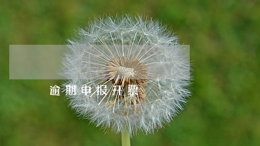 逾期申报开票 逾期申报开票