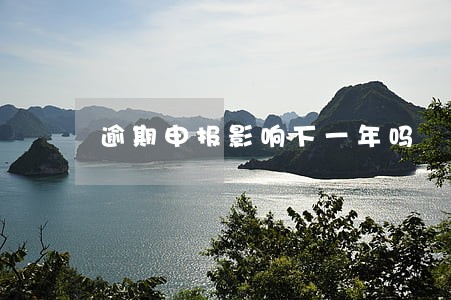 逾期申报影响下一年吗 逾期申报影响下一年吗