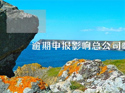 逾期申报影响总公司吗 逾期申报影响总公司吗