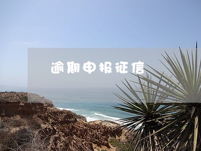 逾期申报征信 逾期申报征信