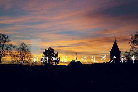 逾期申报必须处罚才能申报