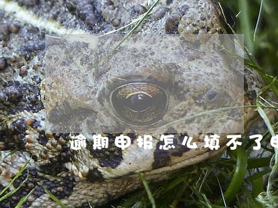 逾期申报怎么填不了申报表 逾期申报怎么填不了申报表