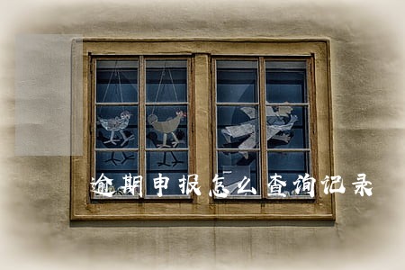 逾期申报怎么查询记录 逾期申报怎么查询记录