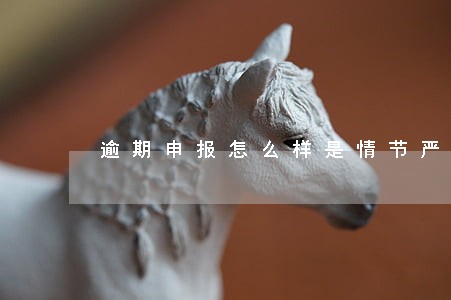 逾期申报怎么样是情节严重 逾期申报怎么样是情节严重