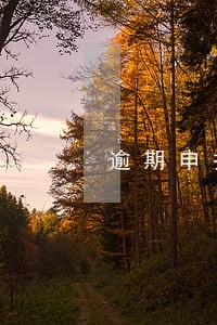 逾期申报怎么给企业说 逾期申报怎么给企业说