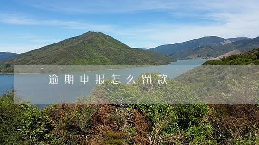 逾期申报怎么罚款 逾期申报怎么罚款