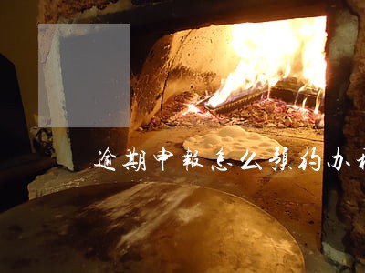逾期申报怎么预约办税 逾期申报怎么预约办税