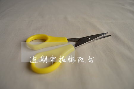 逾期申报悔改书 逾期申报悔改书