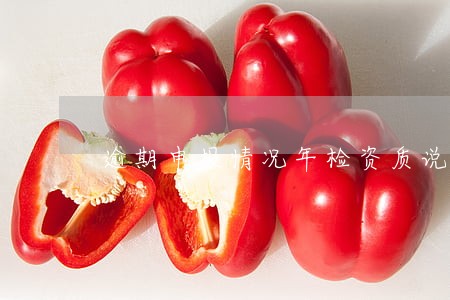 逾期申报情况年检资质说明 逾期申报情况年检资质说明