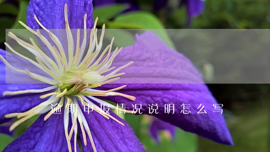 逾期申报情况说明怎么写 逾期申报情况说明怎么写