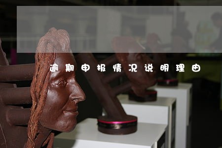 逾期申报情况说明理由 逾期申报情况说明理由