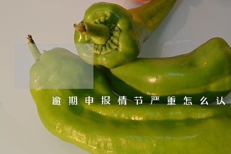 逾期申报情节严重怎么认定 逾期申报情节严重怎么认定