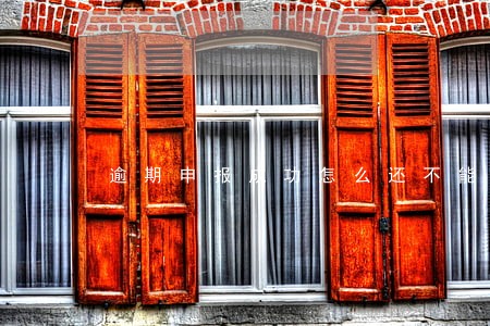 逾期申报成功怎么还不能开发票 逾期申报成功怎么还不能开发票