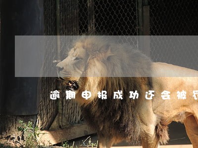 逾期申报成功还会被罚款吗 逾期申报成功还会被罚款吗