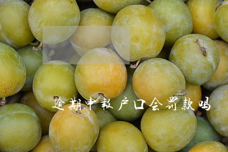 逾期申报户口会罚款吗