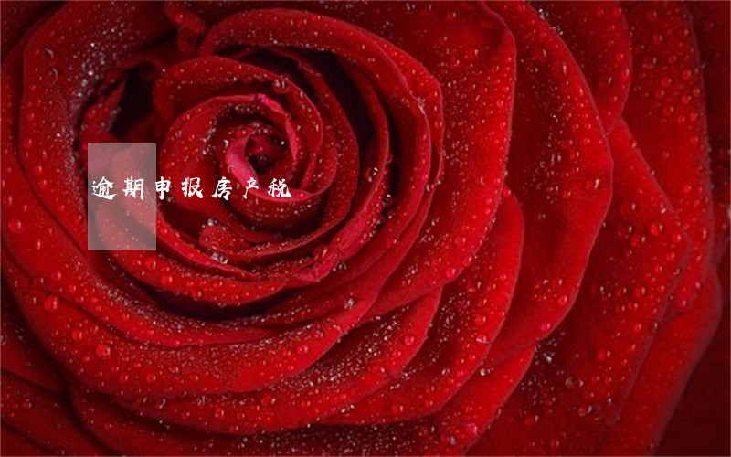逾期申报房产税 逾期申报房产税