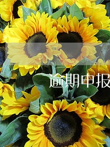逾期申报所得税罚款 逾期申报所得税罚款