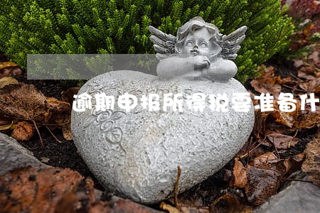 逾期申报所得税要准备什么材料 逾期申报所得税要准备什么材料