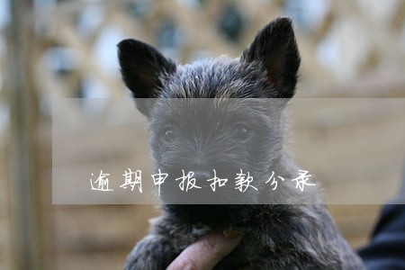 逾期申报扣款分录 逾期申报扣款分录