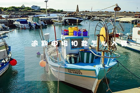 逾期申报扣款怎么入账 逾期申报扣款怎么入账