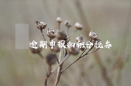 逾期申报扣积分税务 逾期申报扣积分税务