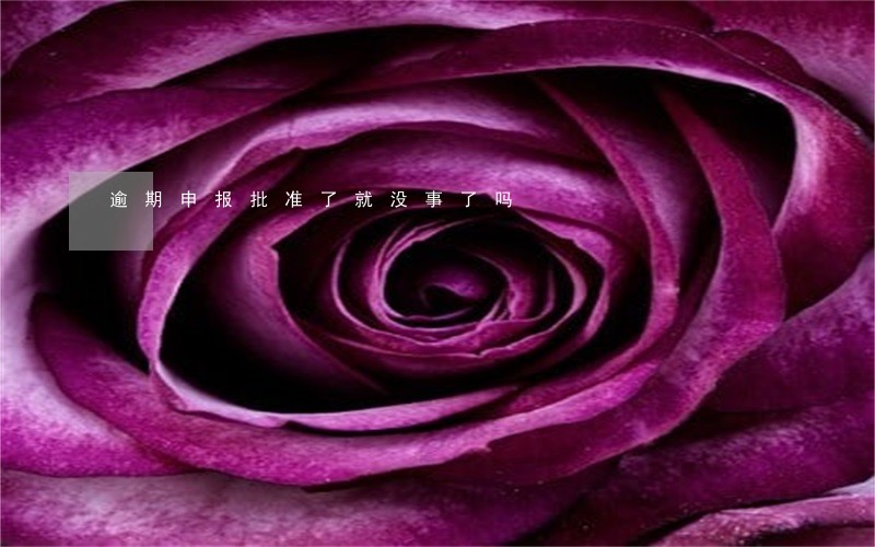 逾期申报批准了就没事了吗 逾期申报批准了就没事了吗